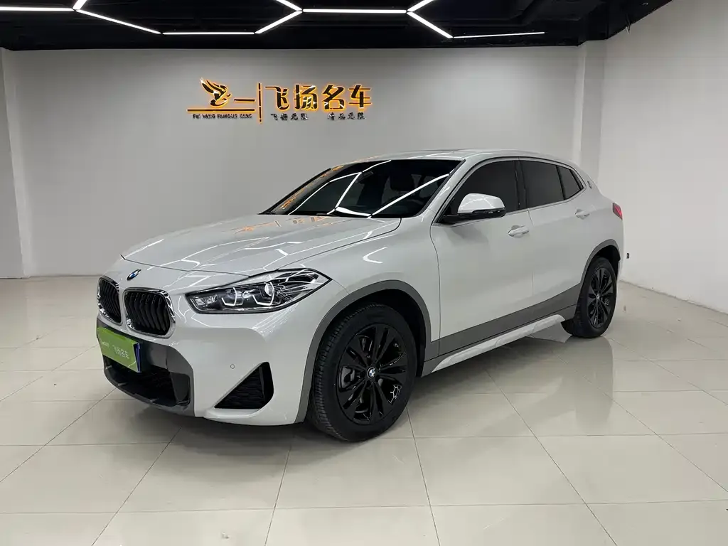 BMW X2 — фото 1