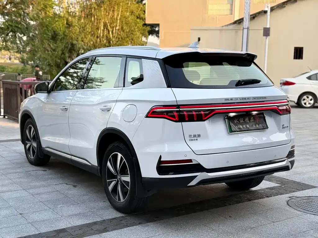 BYD Pro New Energy — фото 4