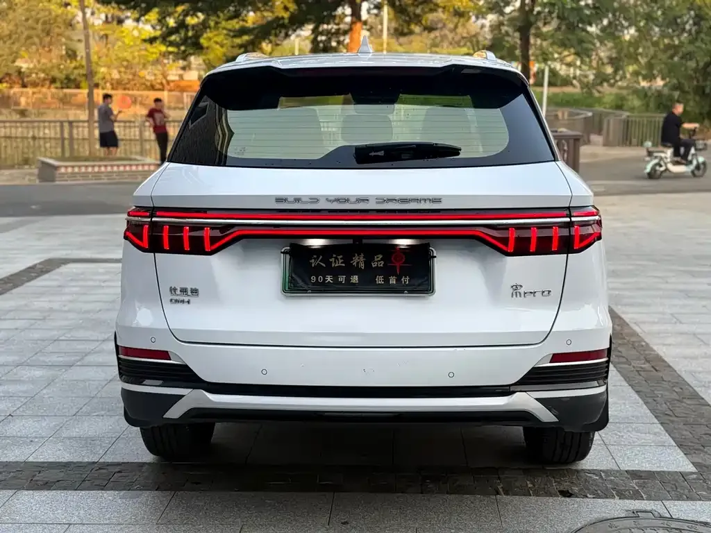 BYD Pro New Energy — фото 5