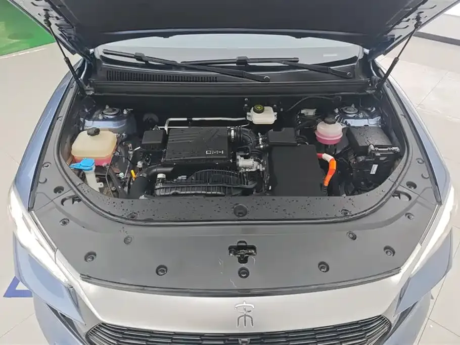 BYD Pro New Energy — фото 10