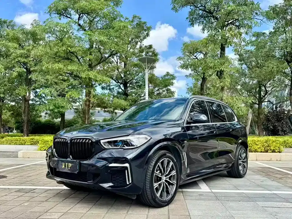 BMW X5 — фото 1