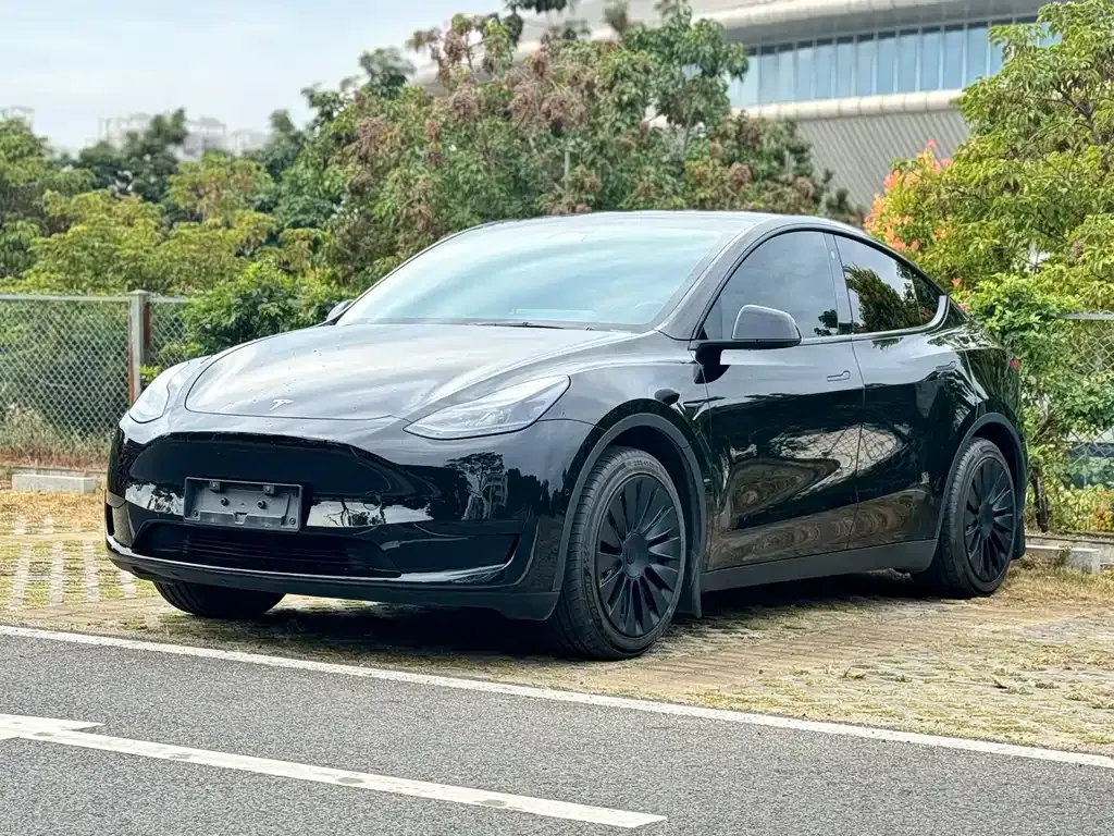 Tesla Model Y — фото 1