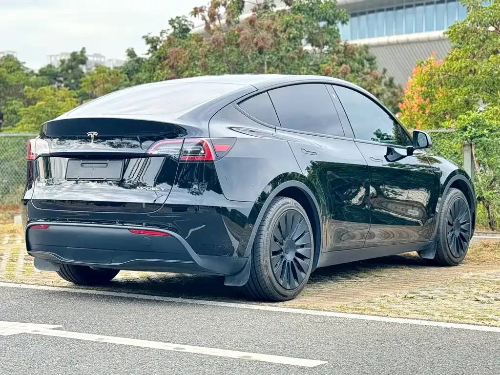 Tesla Model Y — фото 10