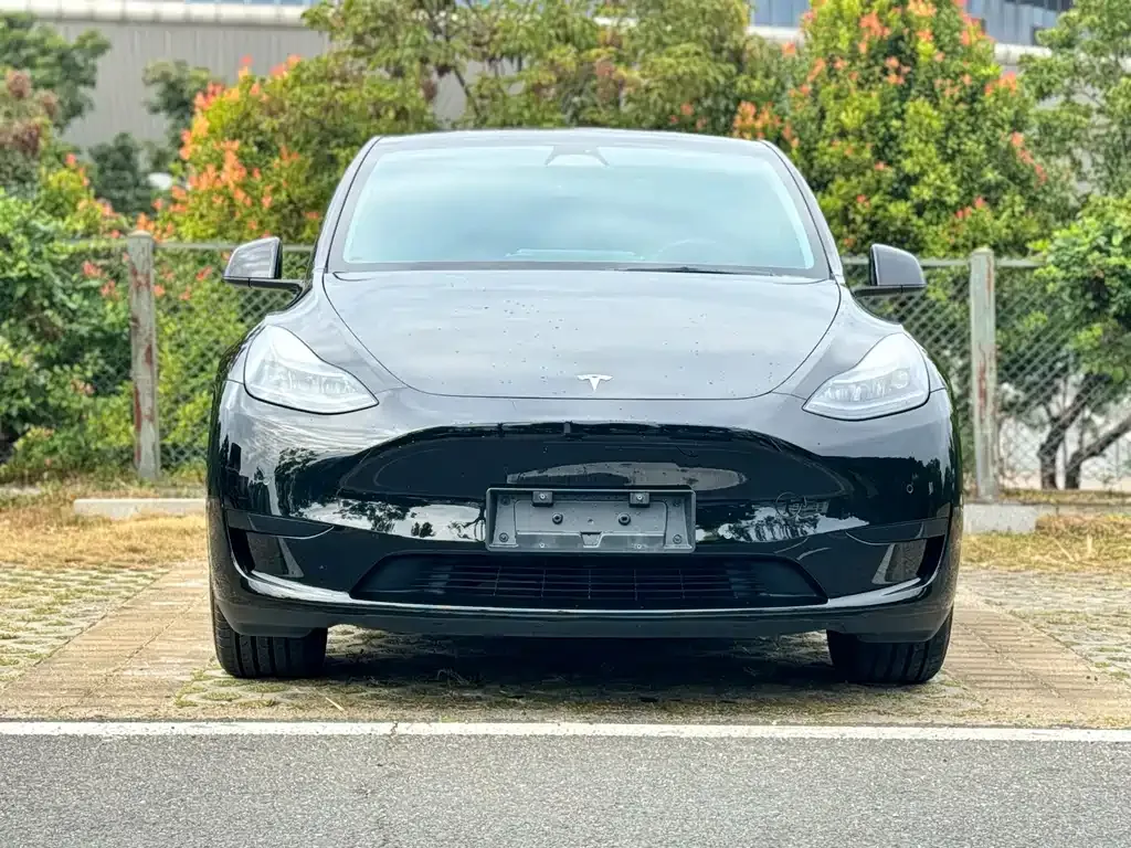 Tesla Model Y — фото 2