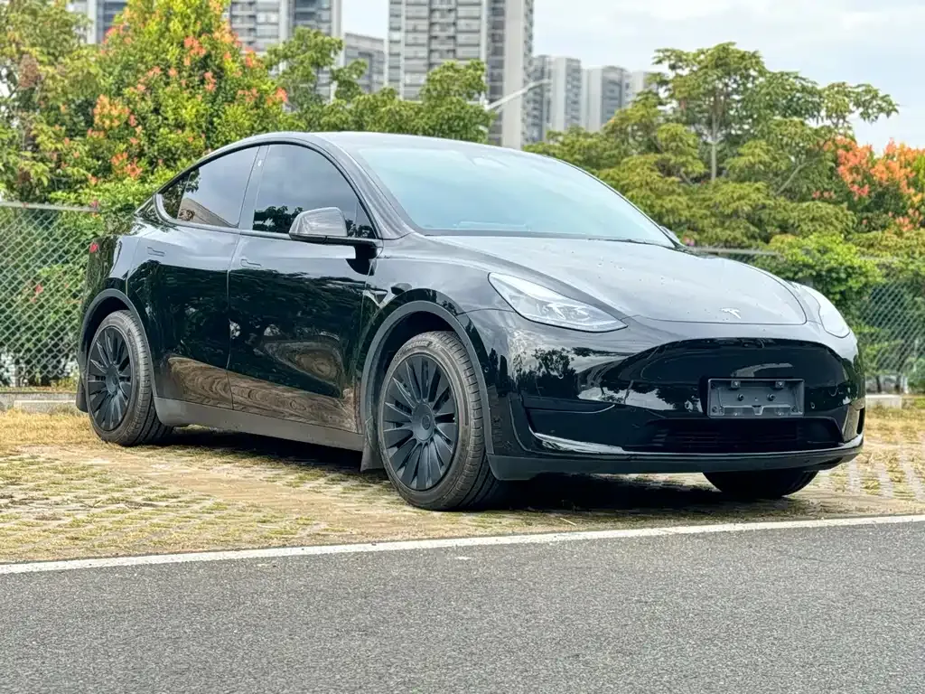 Tesla Model Y — фото 3