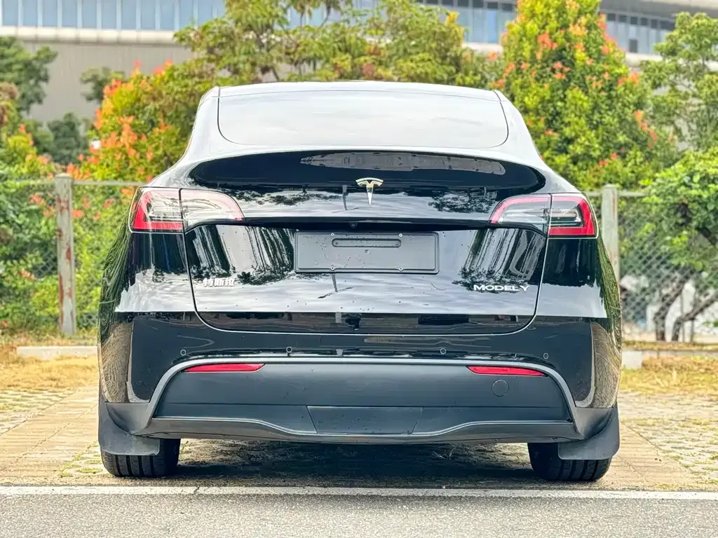 Tesla Model Y — фото 9