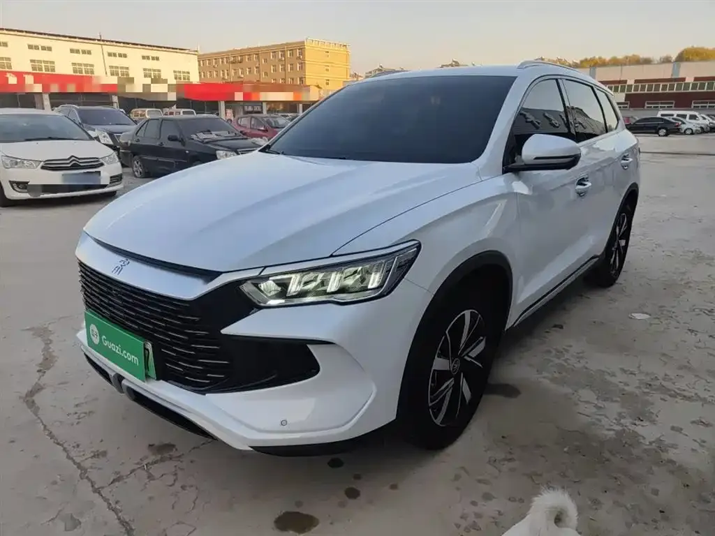 BYD Pro New Energy — фото 1