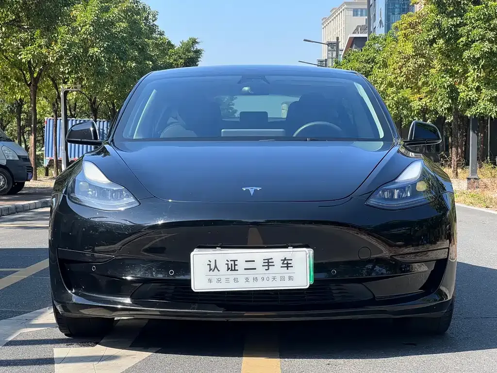 Tesla Model 3 — фото 2