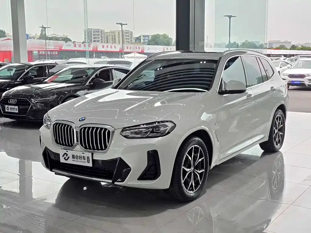 BMW X3 — фото 1