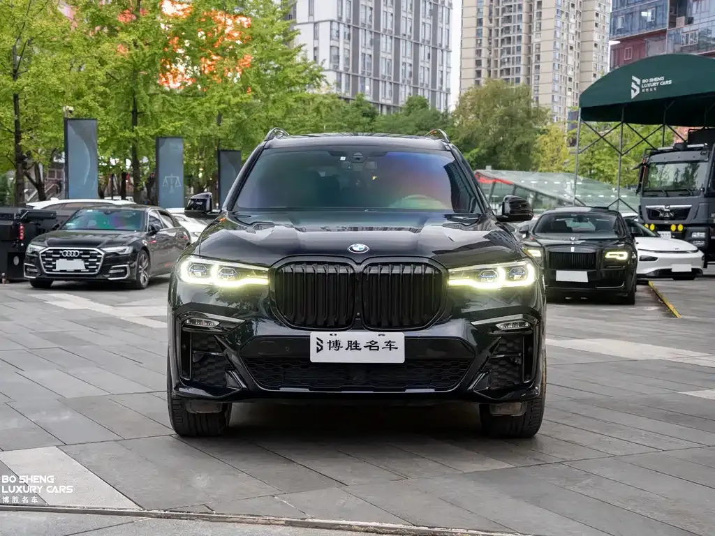 BMW X7 — фото 2