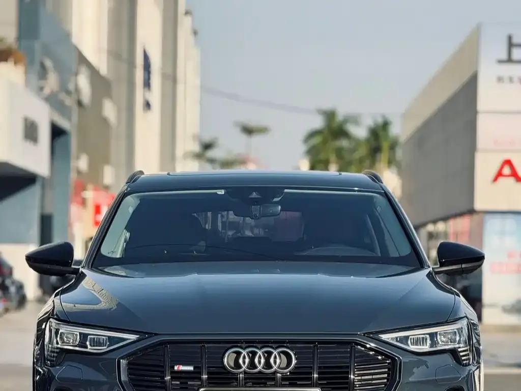 Audi e-tron (Import) — фото 2