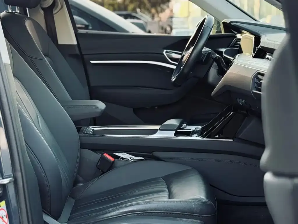 Audi e-tron (Import) — фото 3