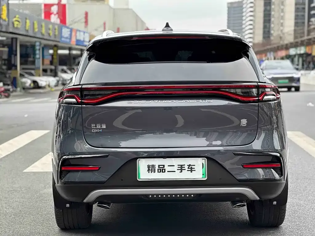 BYD Tang New Energy — фото 2