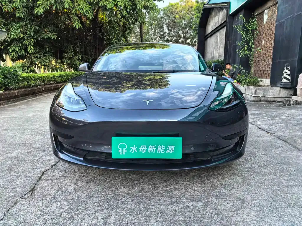 Tesla Model 3 — фото 2