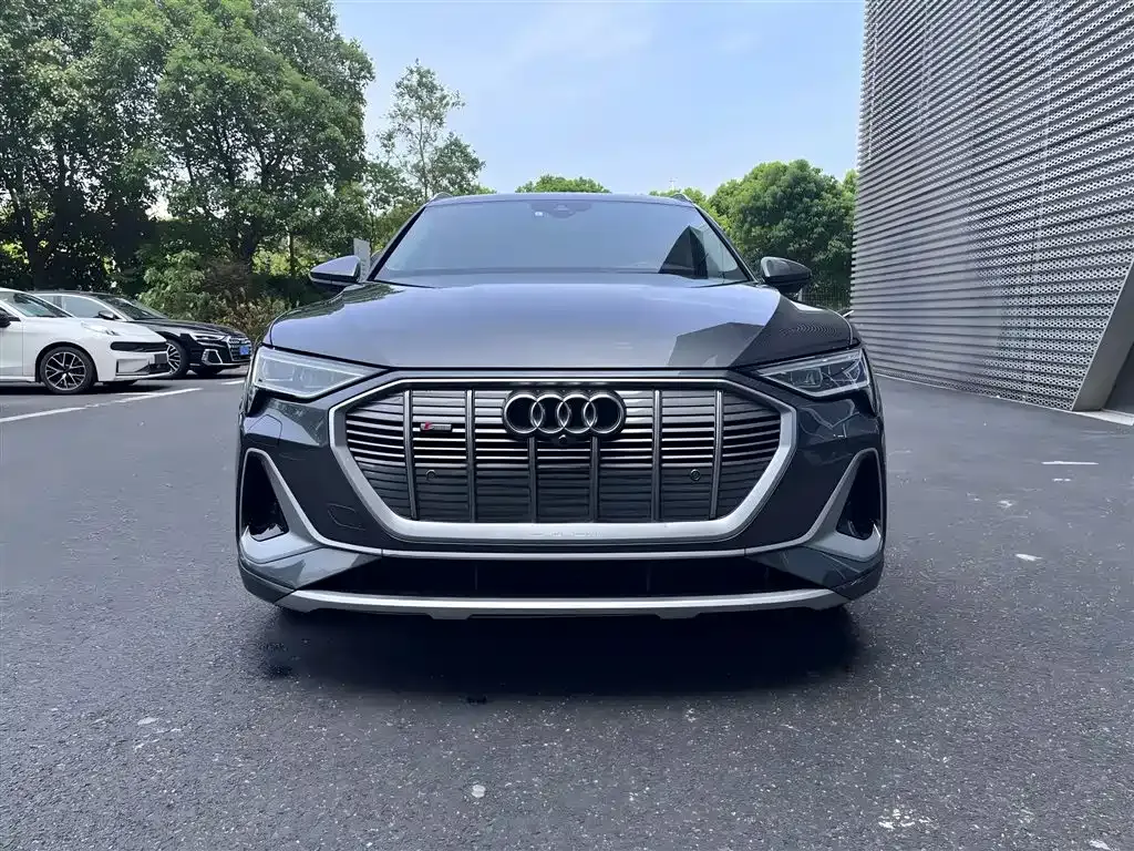 Audi e-tron — фото 2