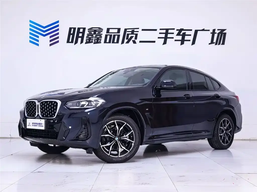BMW X4 — фото 1
