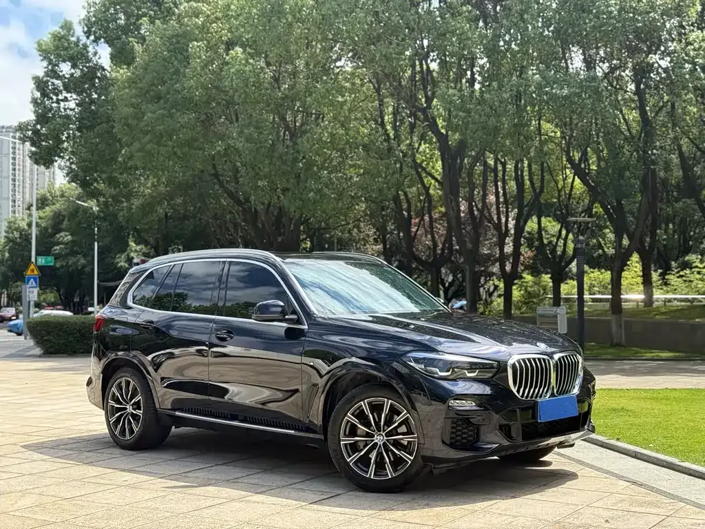 BMW X5 (Import) — фото 3