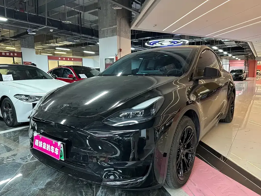 Tesla Model Y — фото 1