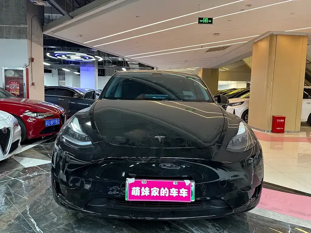 Tesla Model Y — фото 2