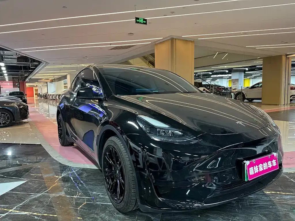 Tesla Model Y — фото 3