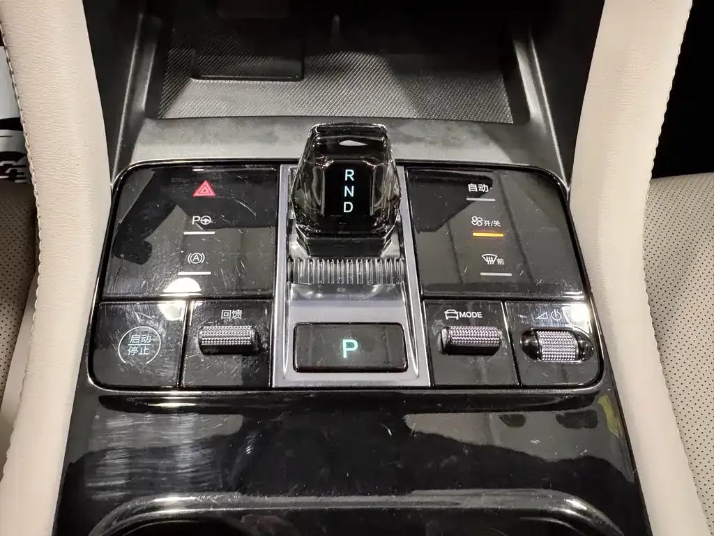BYD PLUS New Energy — фото 10