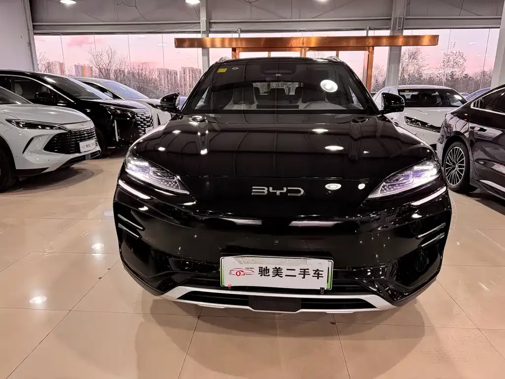 BYD PLUS New Energy — фото 2