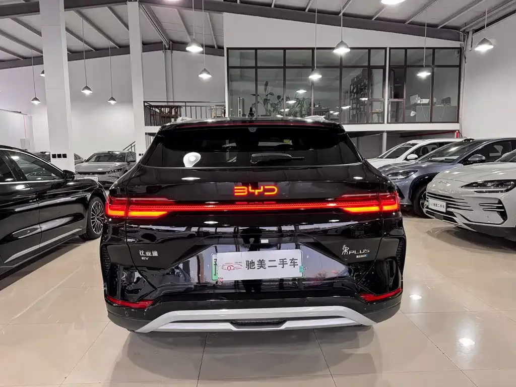 BYD PLUS New Energy — фото 4