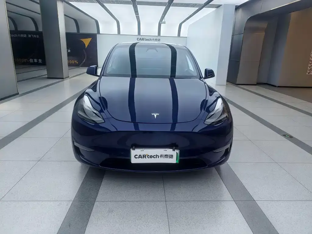 Tesla Model Y — фото 2