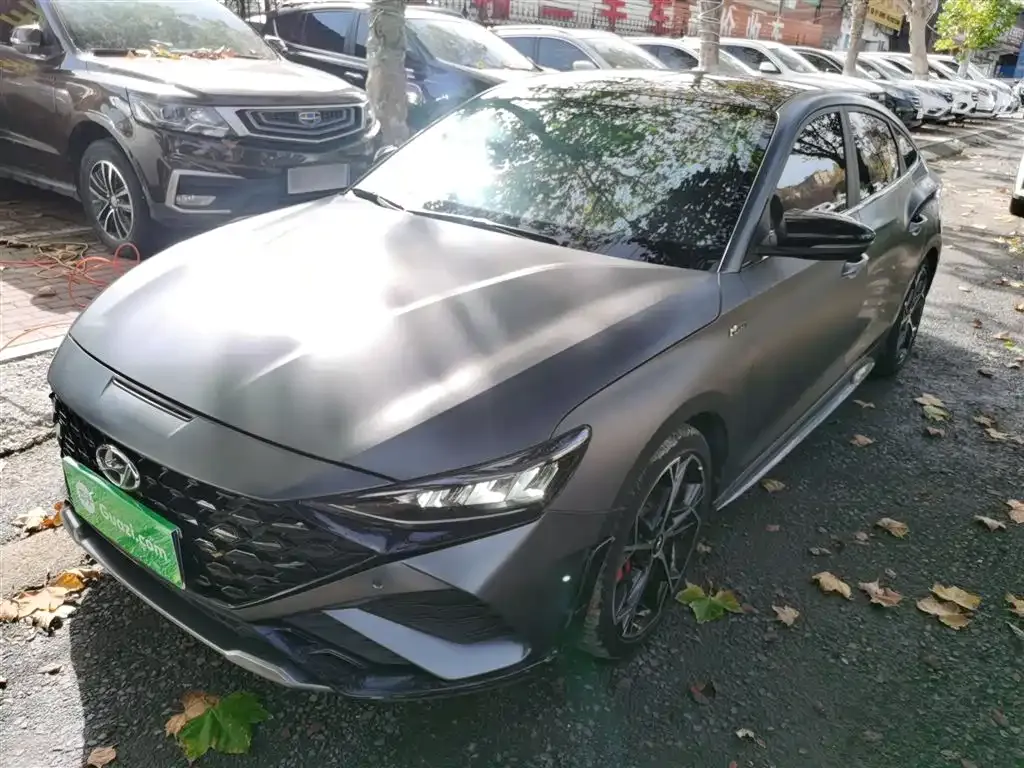 Hyundai Fista — фото 1