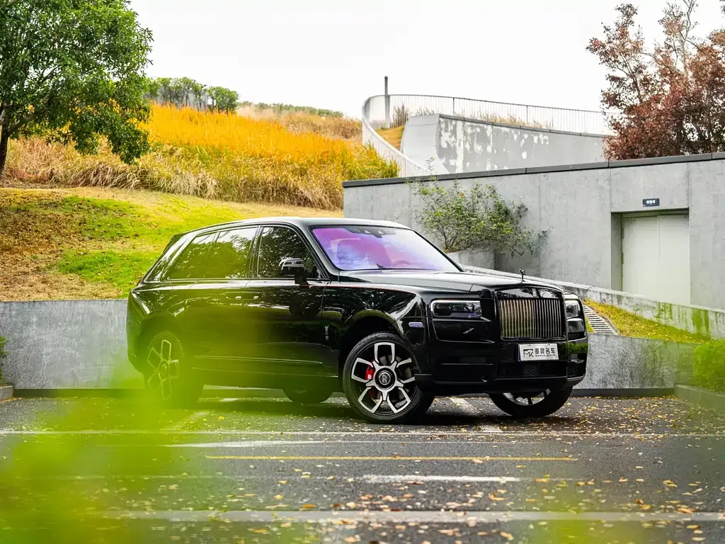 Rolls-Royce Cullinan — фото 10