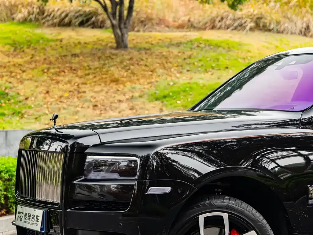 Rolls-Royce Cullinan — фото 7
