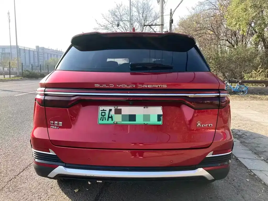 BYD Pro New Energy — фото 5
