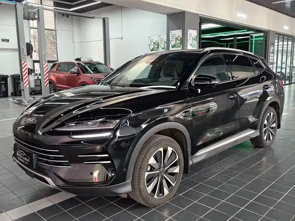 BYD PLUS New Energy — фото 1