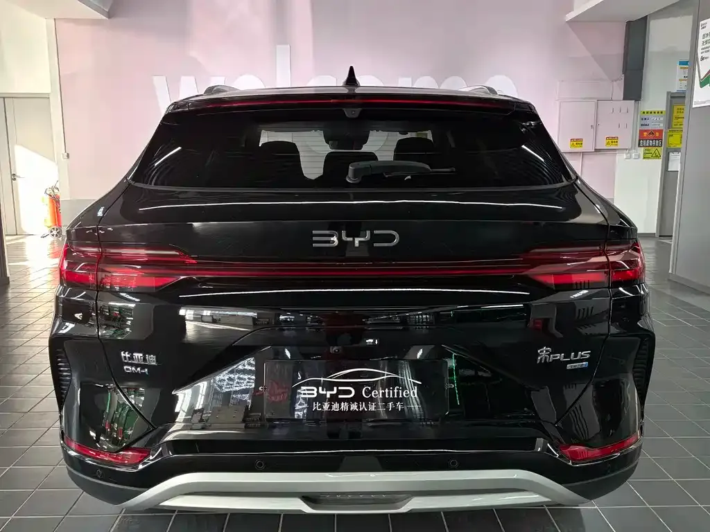 BYD PLUS New Energy — фото 10