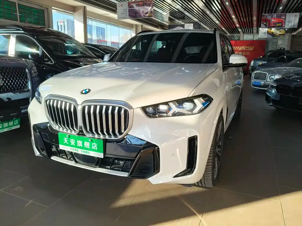 BMW X5 — фото 1