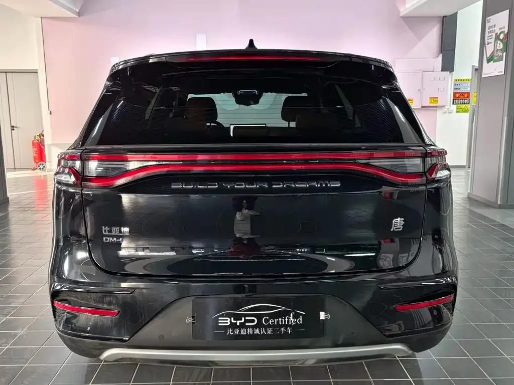 BYD Tang New Energy — фото 10