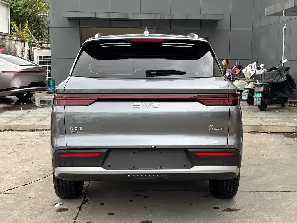 BYD Pro New Energy — фото 4