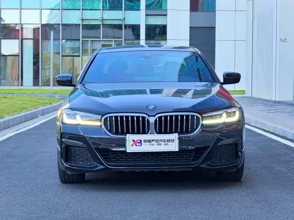 BMW 5 Series New Energy — фото 4