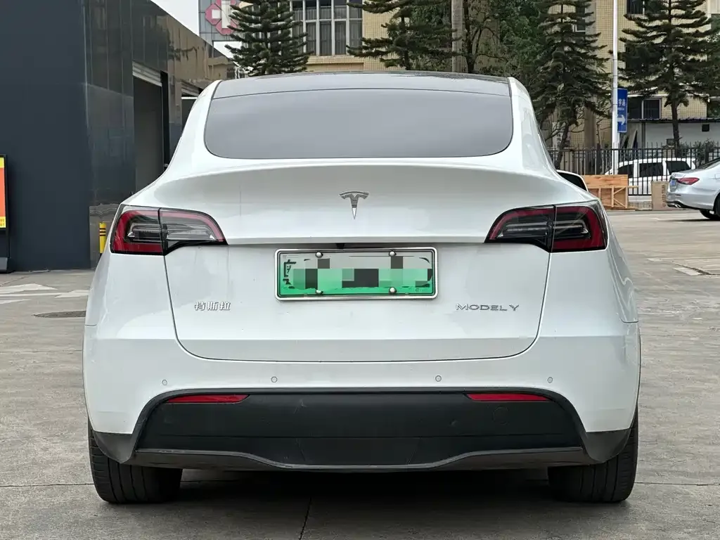 Tesla Model Y — фото 6