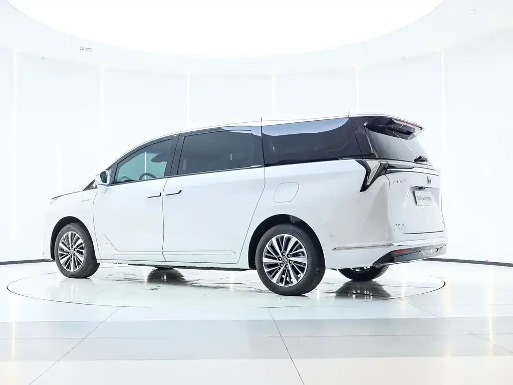 Buick GL8 Hybrid — фото 10