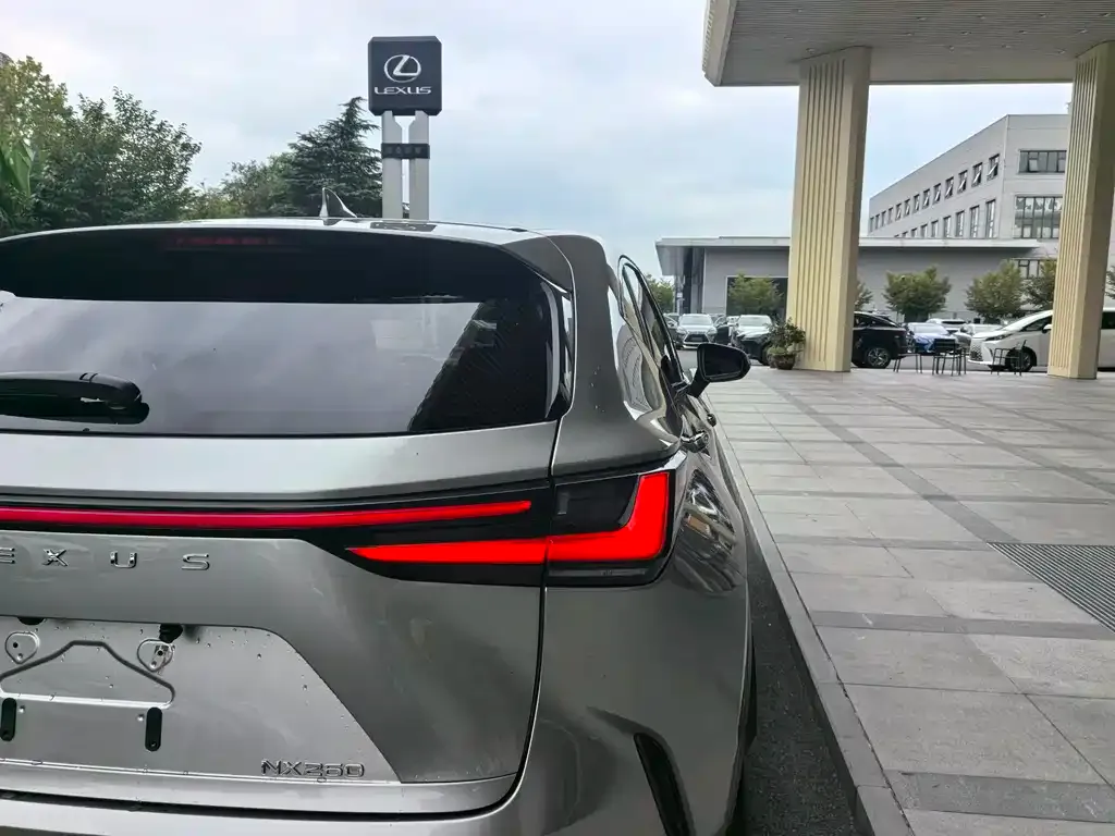 Lexus NX — фото 10