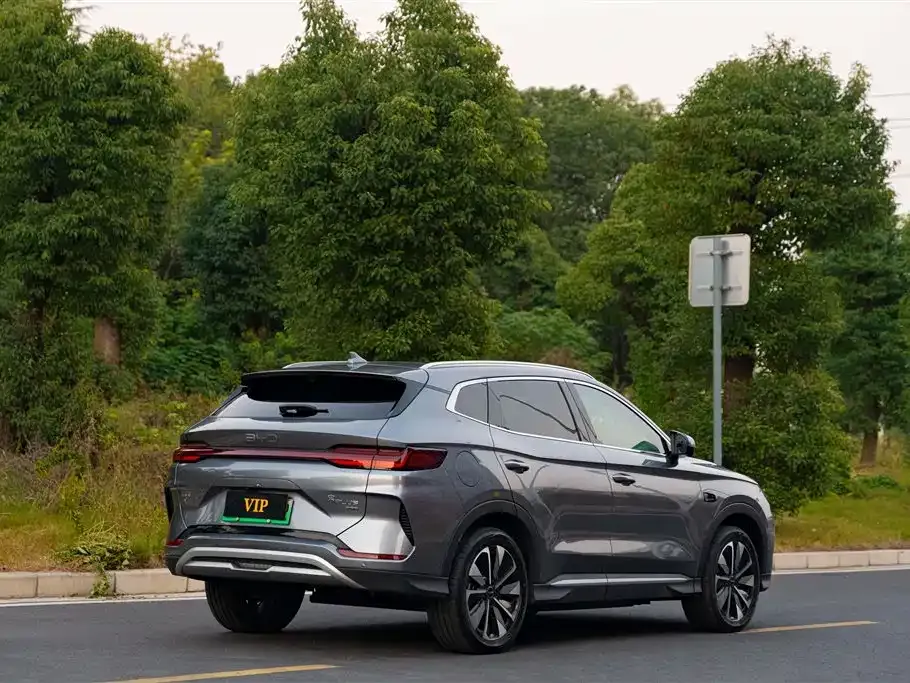 BYD PLUS New Energy — фото 4