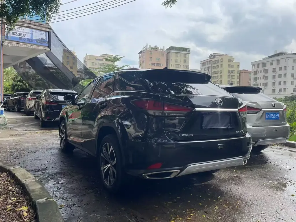 Lexus RX — фото 10