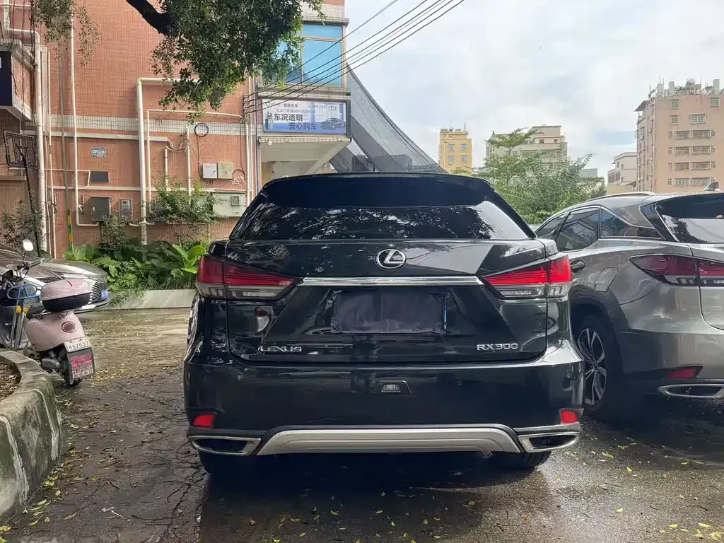 Lexus RX — фото 9