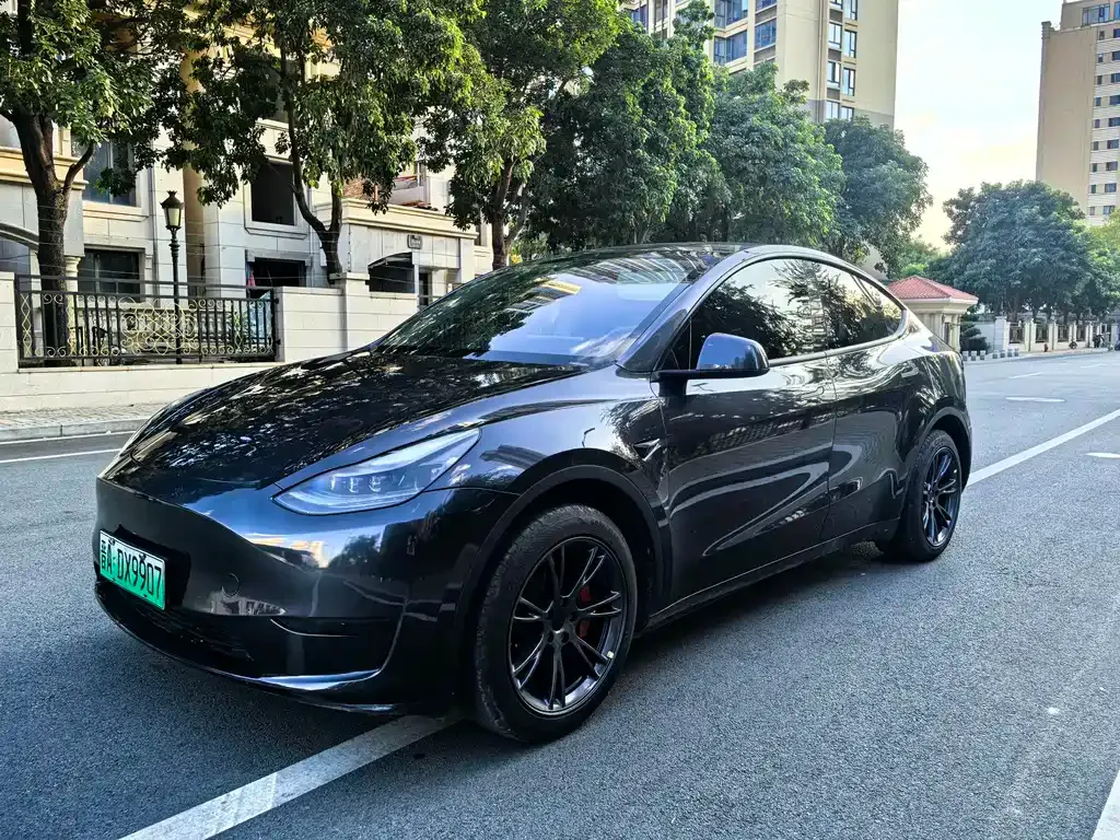 Tesla Model Y — фото 1