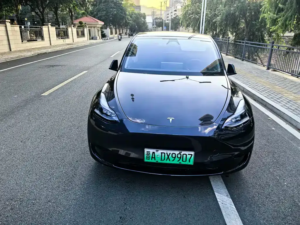 Tesla Model Y — фото 2