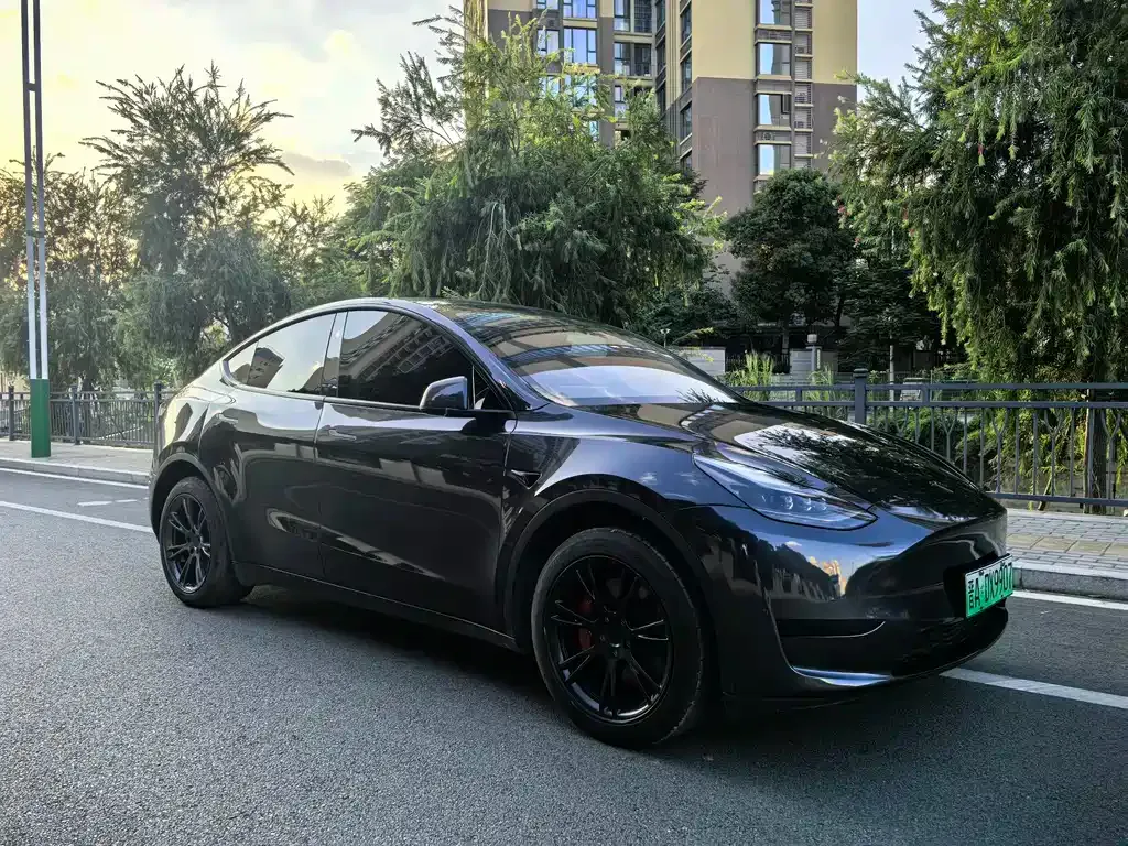 Tesla Model Y — фото 3