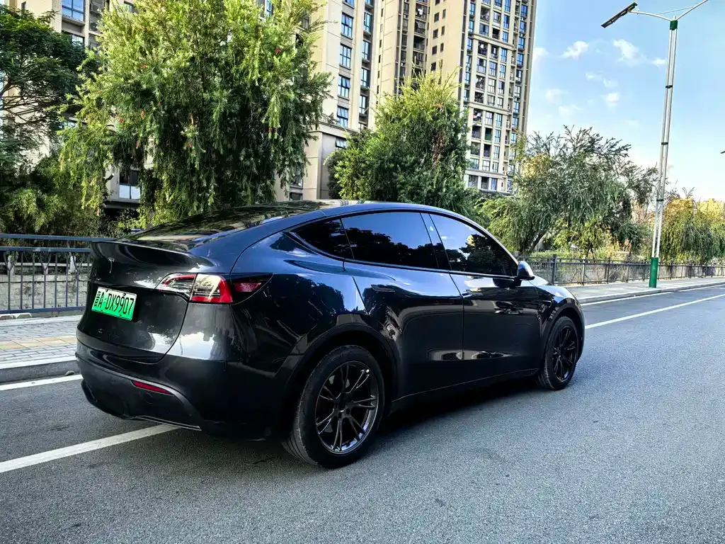 Tesla Model Y — фото 5