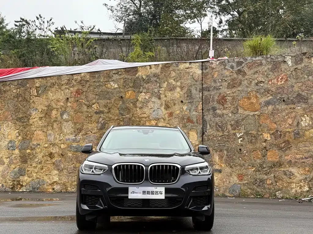 BMW X3 — фото 2