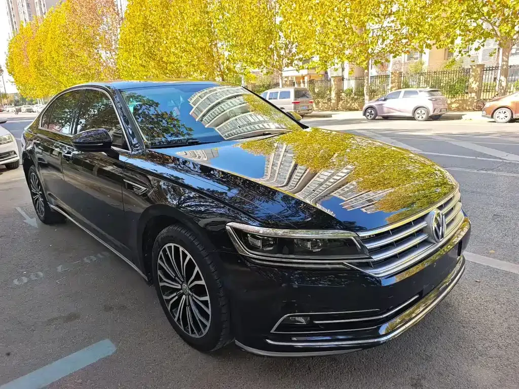 Volkswagen Phideon — фото 3